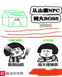 :ɽկnpcBOSS