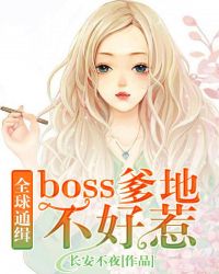 :ȫͨbossز