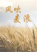 :紵