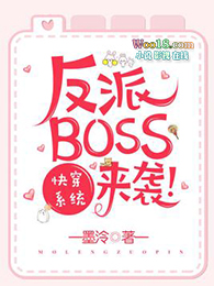 ƻ:촩ϵͳBOSSϮ