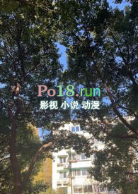 ƻ:ѭºϼ