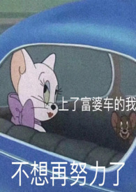 :ζ