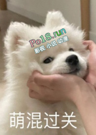 :У԰1v2