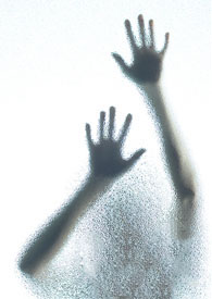 ֲ:ļ