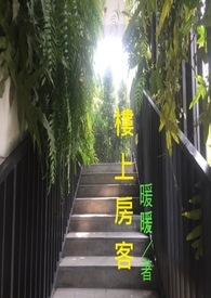 :¥Ϸ