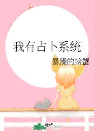 :ռϵͳ