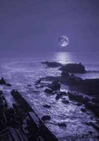 :ҹNP glbg