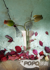 :֮Ӱ