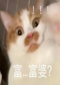 :뿪ܣĸУ