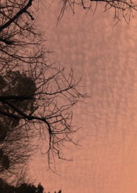: Atwood