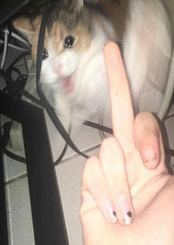 :ôҪԹ԰٣ٺH