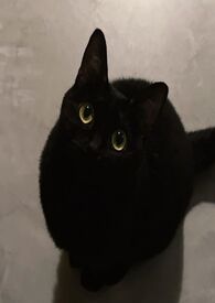 :һǧһ