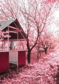 :֮