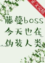 ʷ:BOSSҲαװ