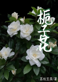 :ӻ (Ů1v1