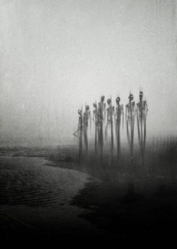 :䣨ƻ ֲ NP