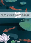 ʷ:ʧҰ޵е氮