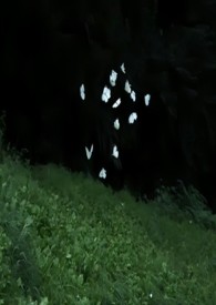 :εȻùǿƣ