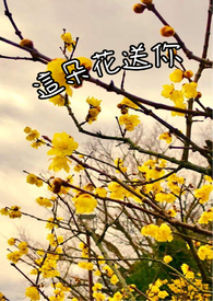 :仨