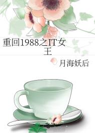 ʷ:ػ1988֮ITŮ