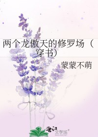 ʷ:޳飩