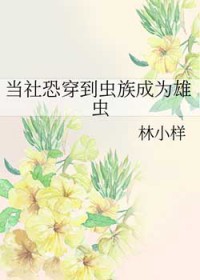 ʷ:ִΪ۳