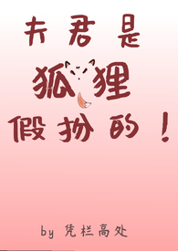 :Ǻٰģ1v2