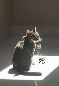 :