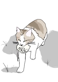 :ʮλУ԰1V1