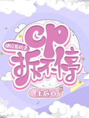 ξ:촩ϵͳ֮cpͣ